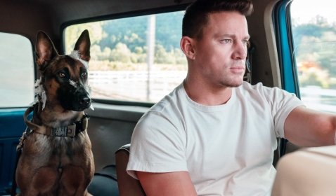 Review Dog: Persahabatan Unik Mantan Tentara dan Anjing Militer 