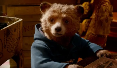 Paddington 3 Umumkan Judul Resmi dan Sutradaranya 