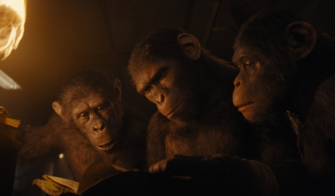 Yuk Kenalan dengan Para Karakter di Film Kingdom of the Planet of the Apes