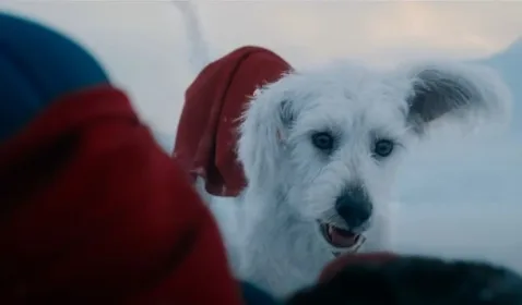 Anjing Superman yang Menggemaskan 'Krypto' Datang Jadi Penyelamat dalam Trailer Terbaru di CinemaCon