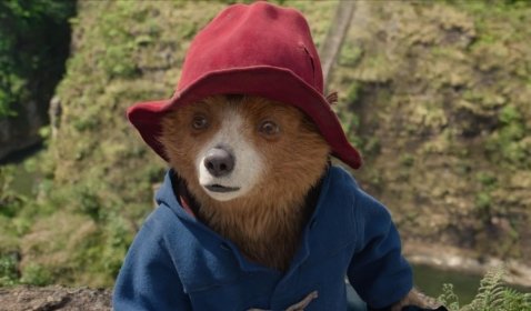 Review Paddington in Peru: Seru, Konyol, dan Hangat