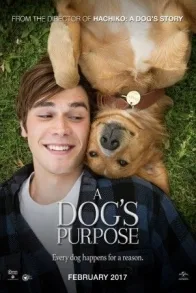 A DOG'S PURPOSE