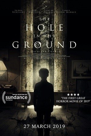 THE HOLE IN THE GROUND